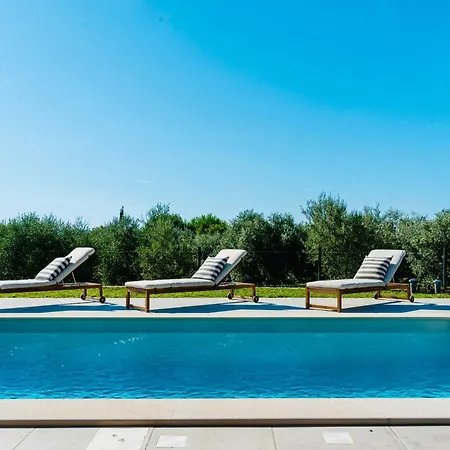 Zidine, Luxury With Seaview And Salt Pool Water Βίλα *