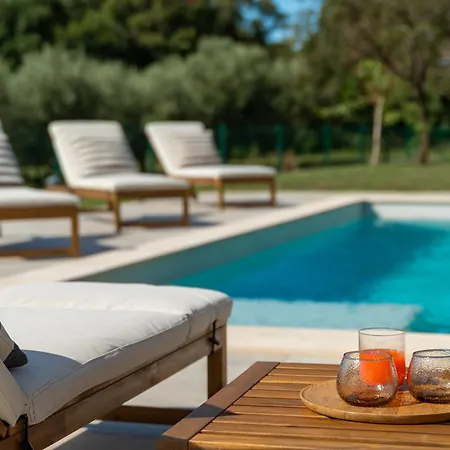 Βίλα Zidine, Luxury With Seaview And Salt Pool Water