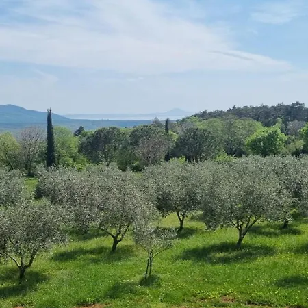 Zidine, Luxury With Seaview And Salt Pool Water Βίλα Puntera